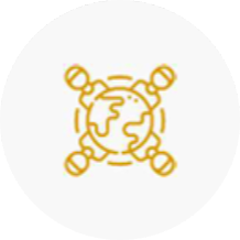 primary-focus